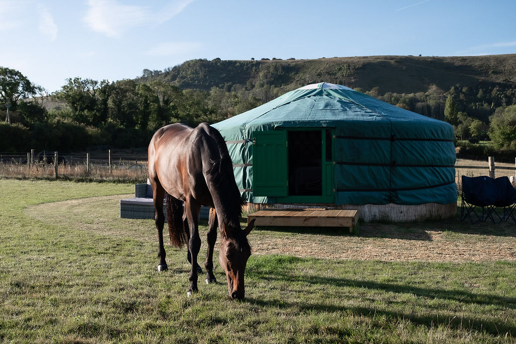 Yurt on South Downs with horse